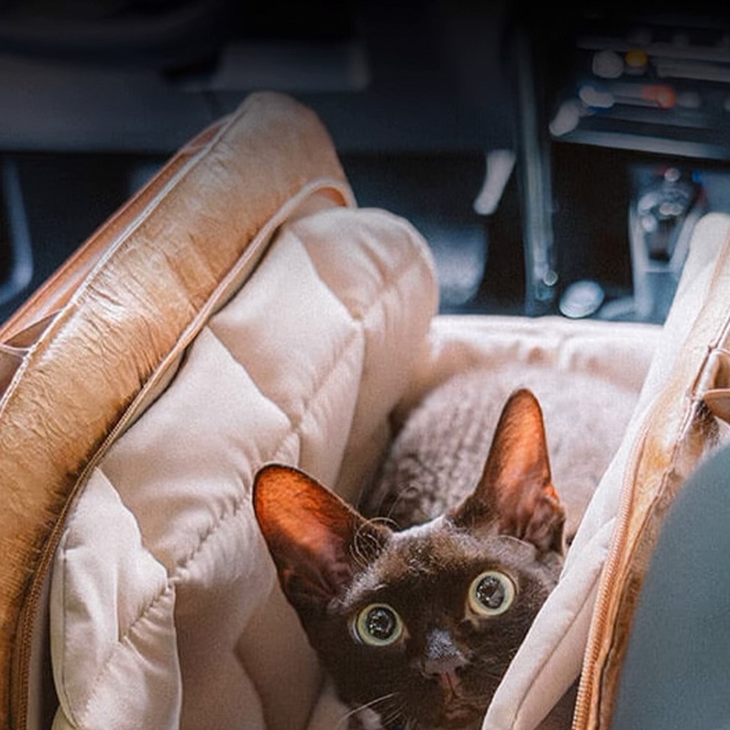 Compact Pet Carrier Bag - Lightweight & Ventilated