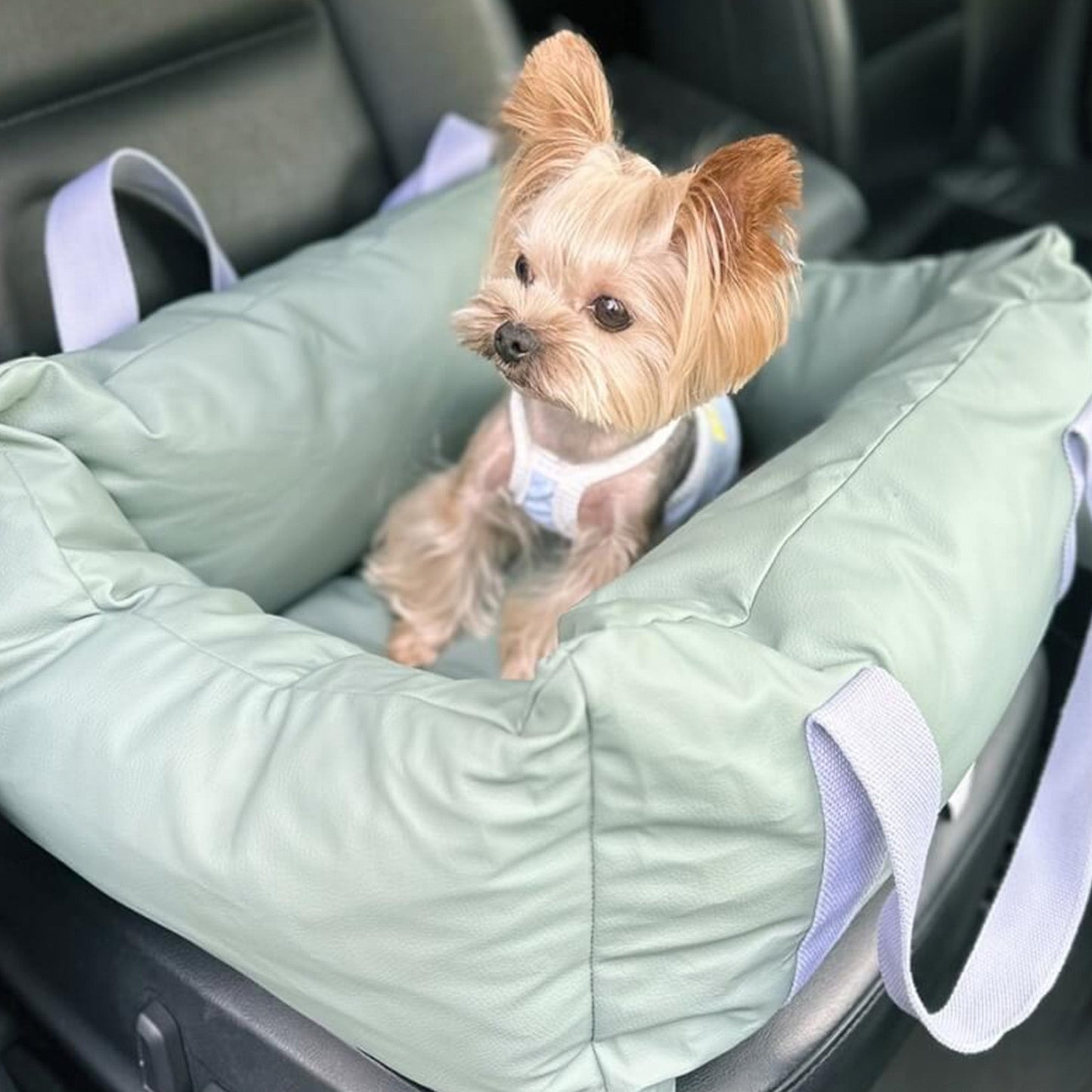 Durable Pet Car Seat - Safe and Comfortable Ride