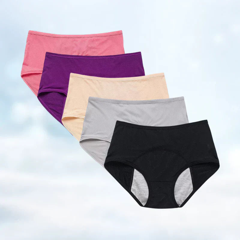 Comfortable Waterproof Ladies Briefs 5 Pack Deal