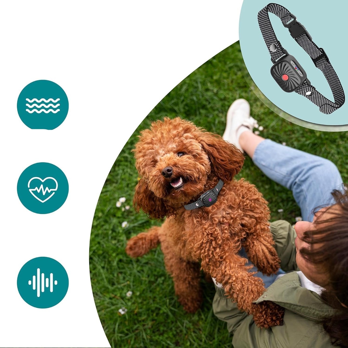 Effective Anti Bark Collar For Small Medium Large Dogs