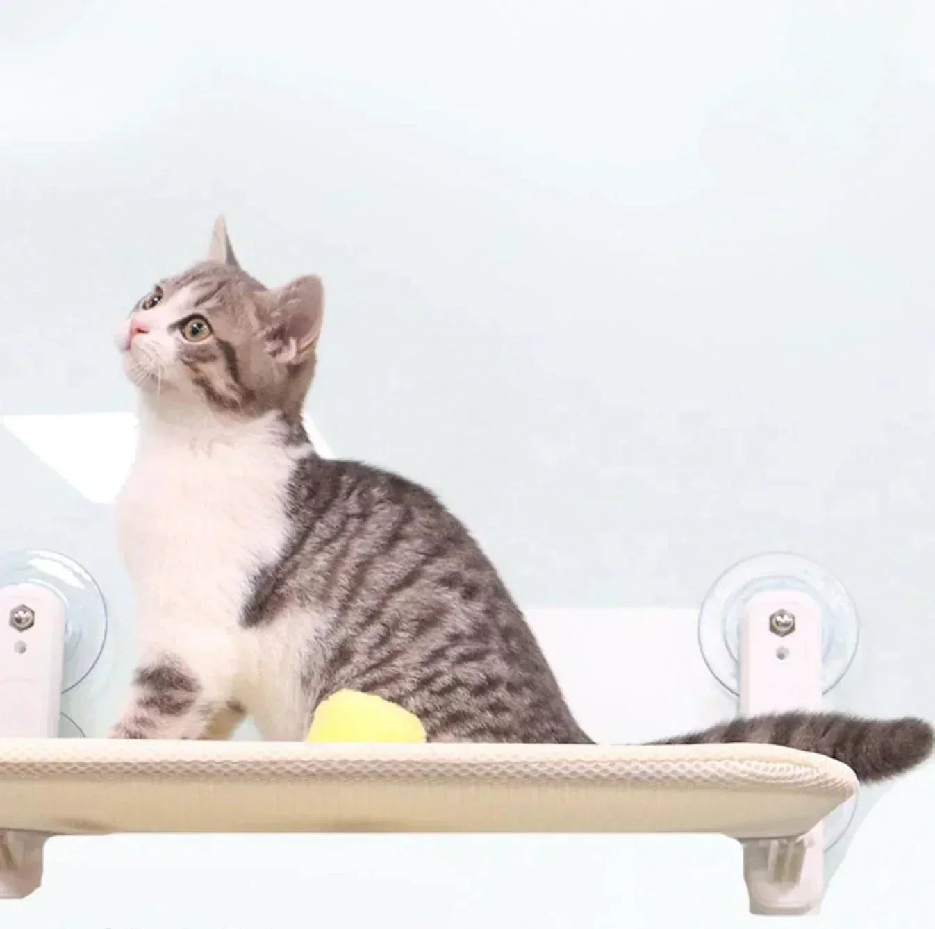 Comfy Cat Hanging Bed Pet Lounge