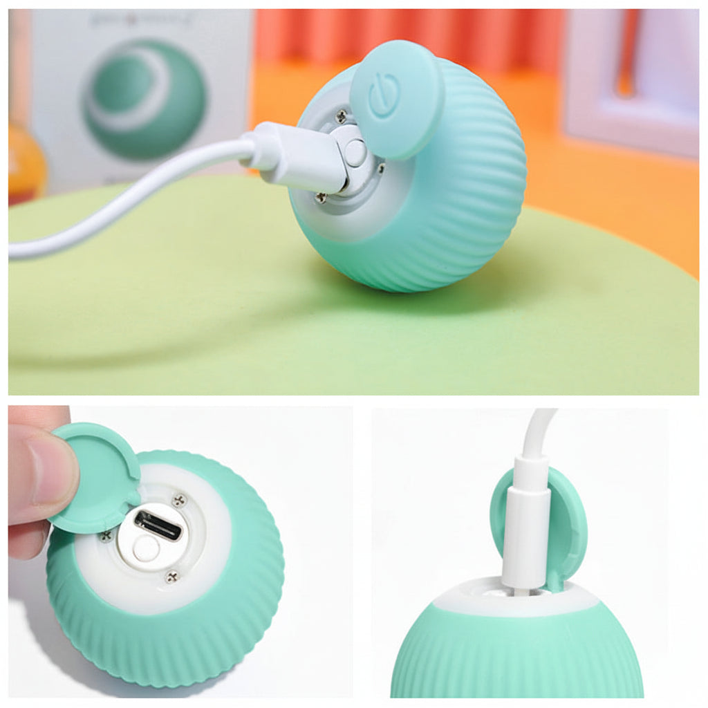 Fun Pet Interactive Bouncing Ball Toy