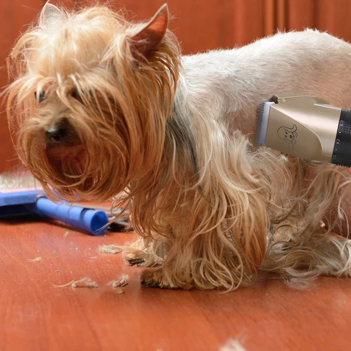 Pet Grooming Fur Care Brush Kit