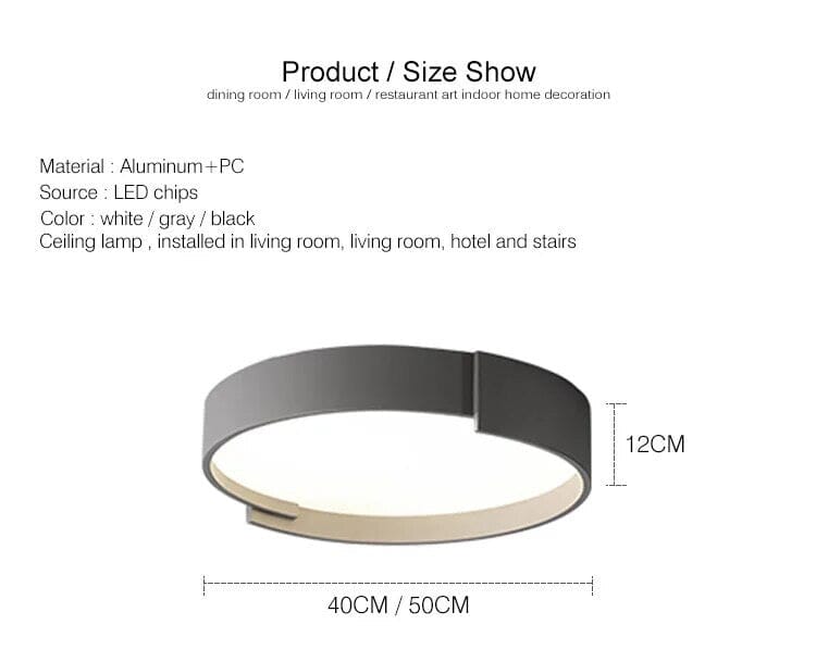 Modern Flush Mount Ceiling Light