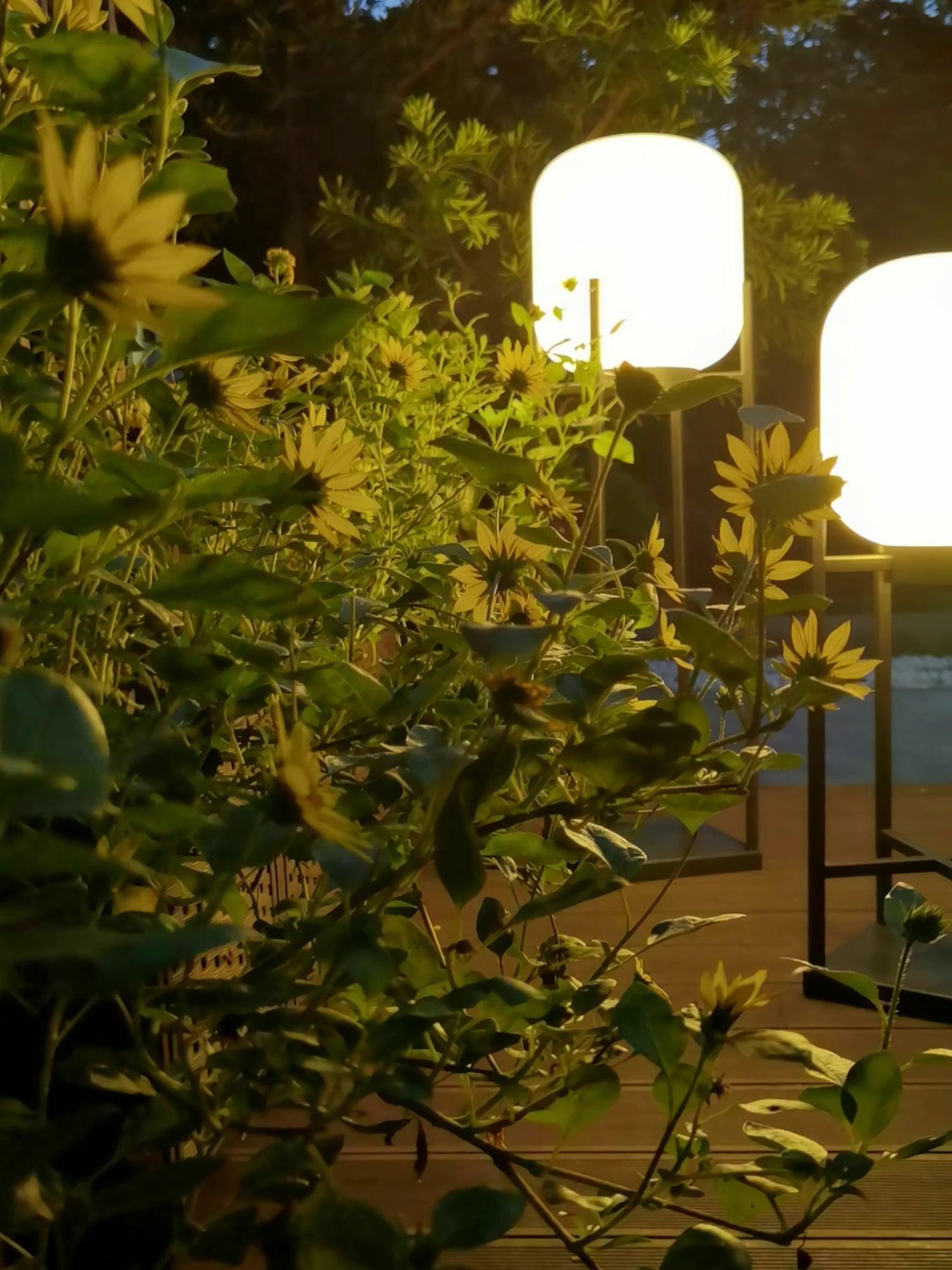 Bright Solar Garden Lamp Stainless Steel Glass