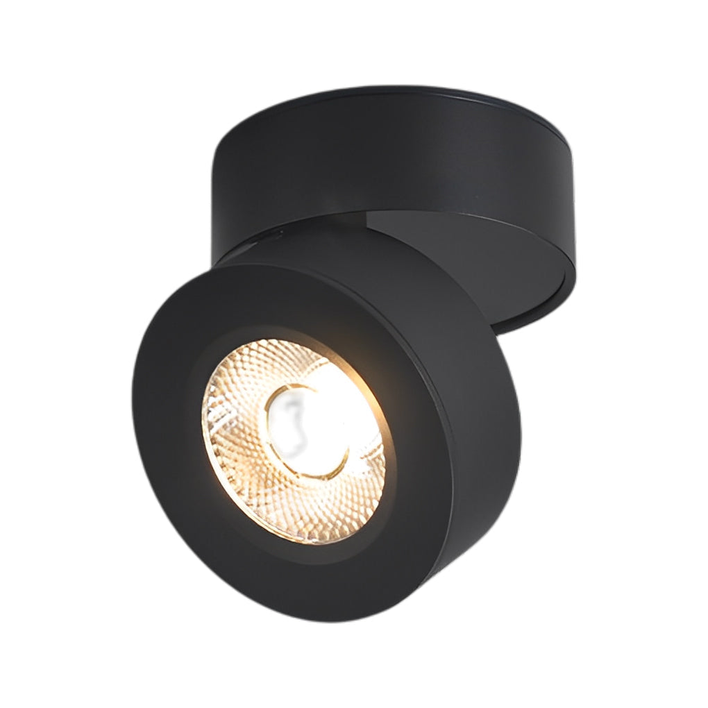 Modern Adjustable Ceiling Lamp