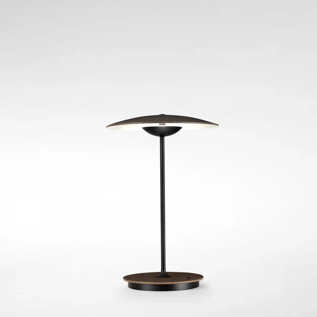 Stylish Round Shade LED Desk Lamp