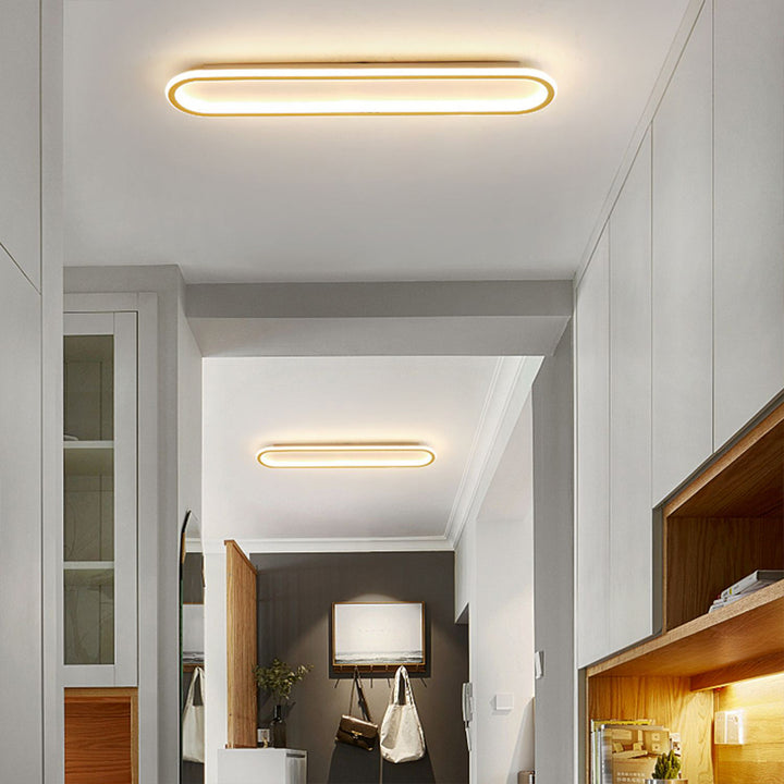 Stylish Hallway LED Ceiling Fixture