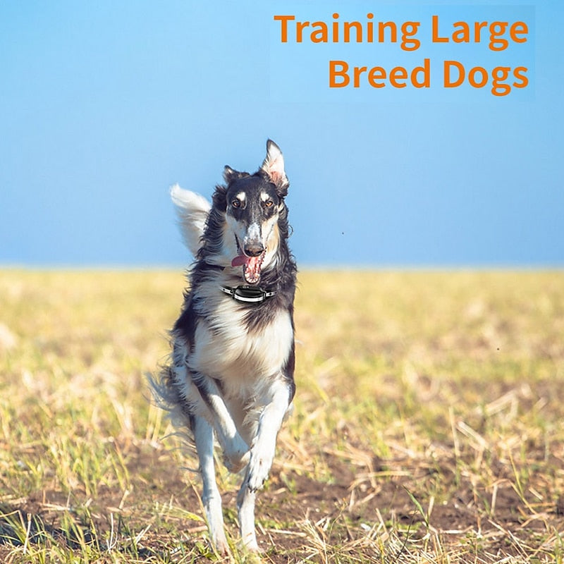 Advanced Remote Dog Training Collar with Strong Signal