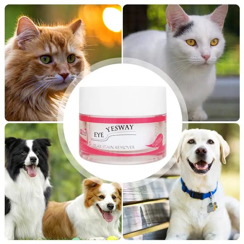 Pet Eye Care Treatment Powder - 20g Gentle Formula for Dogs, Cats, Horses, and Rabbits - Effective Tear Stain Remover 4