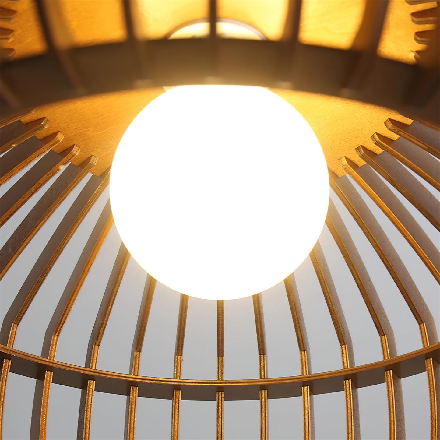 Posiro Pendant Lamp 8