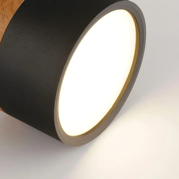 Bright Modern LED Ceiling Lamp for Home
