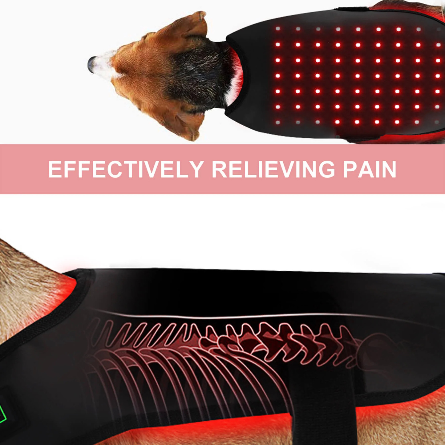 Heated Pet Therapy Wrap for Pain Relief and Comfort