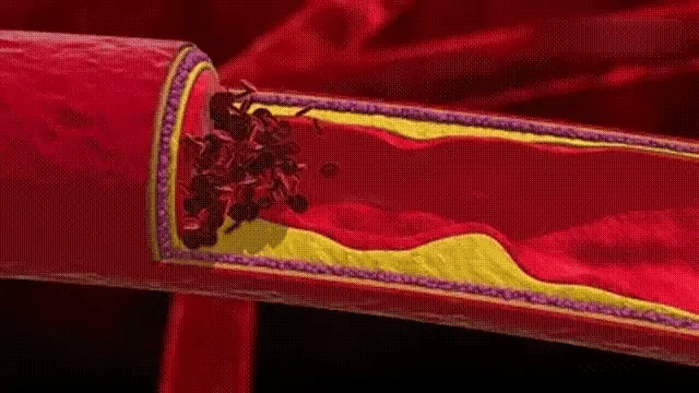 Accurate Fingertip Pulse Oximeter with Easy One Touch