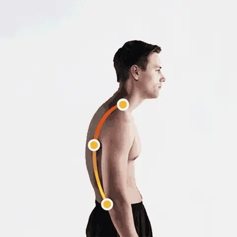 Comfort Posture Corrector for Back and Neck Relief