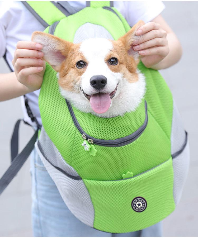 Pet Hiking Backpack Safe Comfortable Dog Carrier
