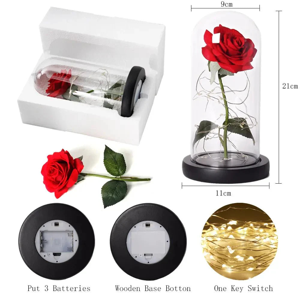 Timeless Rose - Soft LED Light