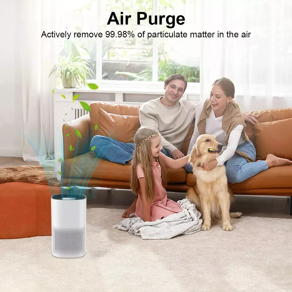 Small Room Quiet True HEPA Air Cleaner