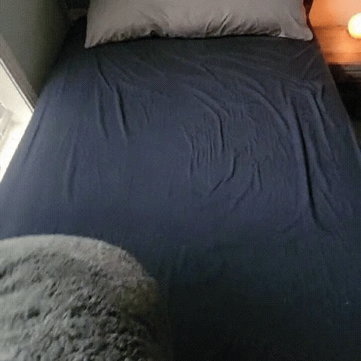 Waterproof Cozy Blanket for Couples