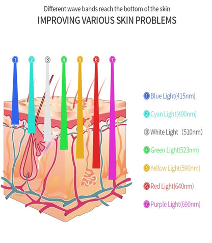 Colorful LED Face Skin Care Treatment Device