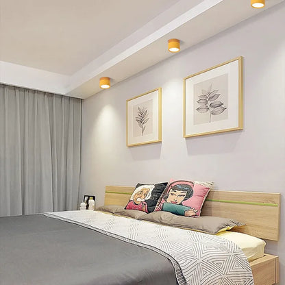 Bright Modern LED Ceiling Lamp for Home