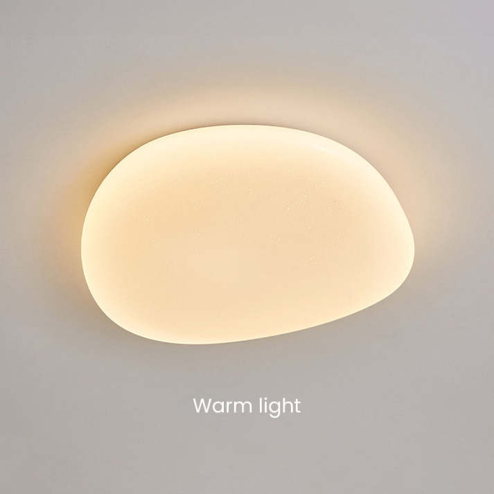 Sleek Low Profile Ceiling Lamp