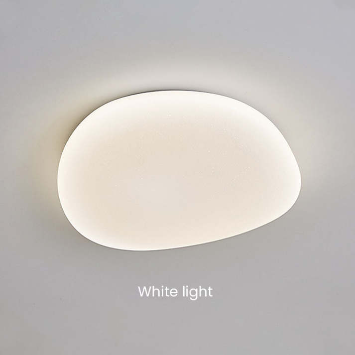Sleek Low Profile Ceiling Lamp