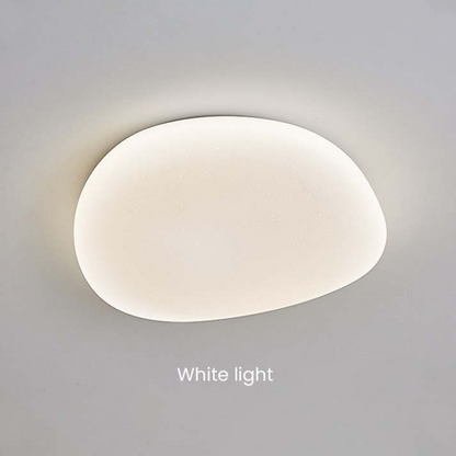 Sleek Low Profile Ceiling Lamp