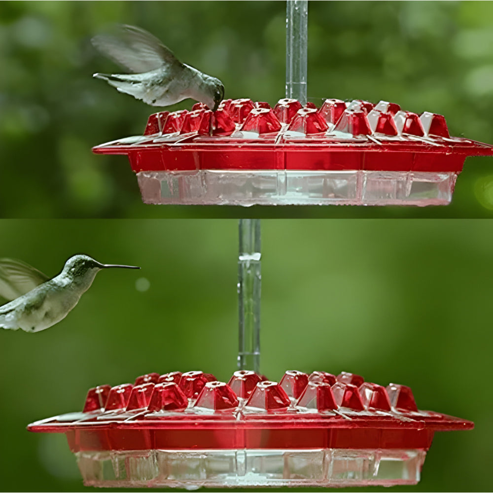 Colorful Bird Feeder Hanging Nectar Station