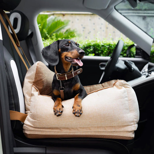 Safe Pet Car Booster Seat - Lusomart