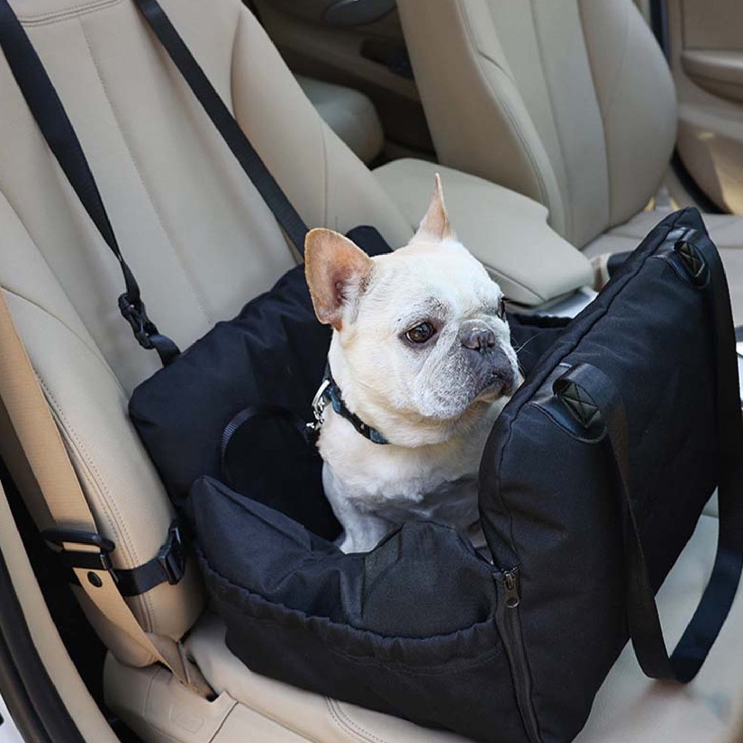 Versatile Pet Car Bed and Carrier Set - Lusomart