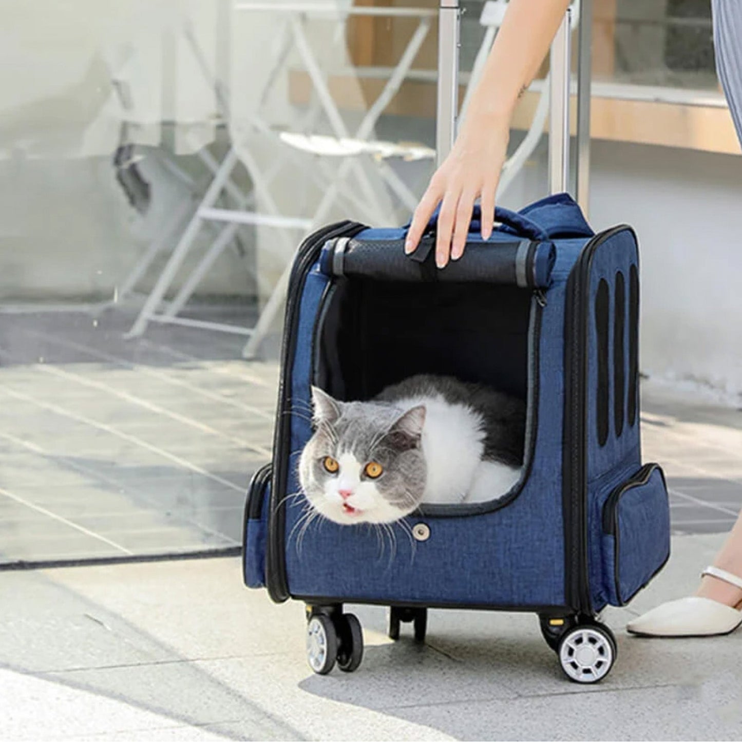 Portable Pet Travel Bag - Lightweight and Compact - Lusomart