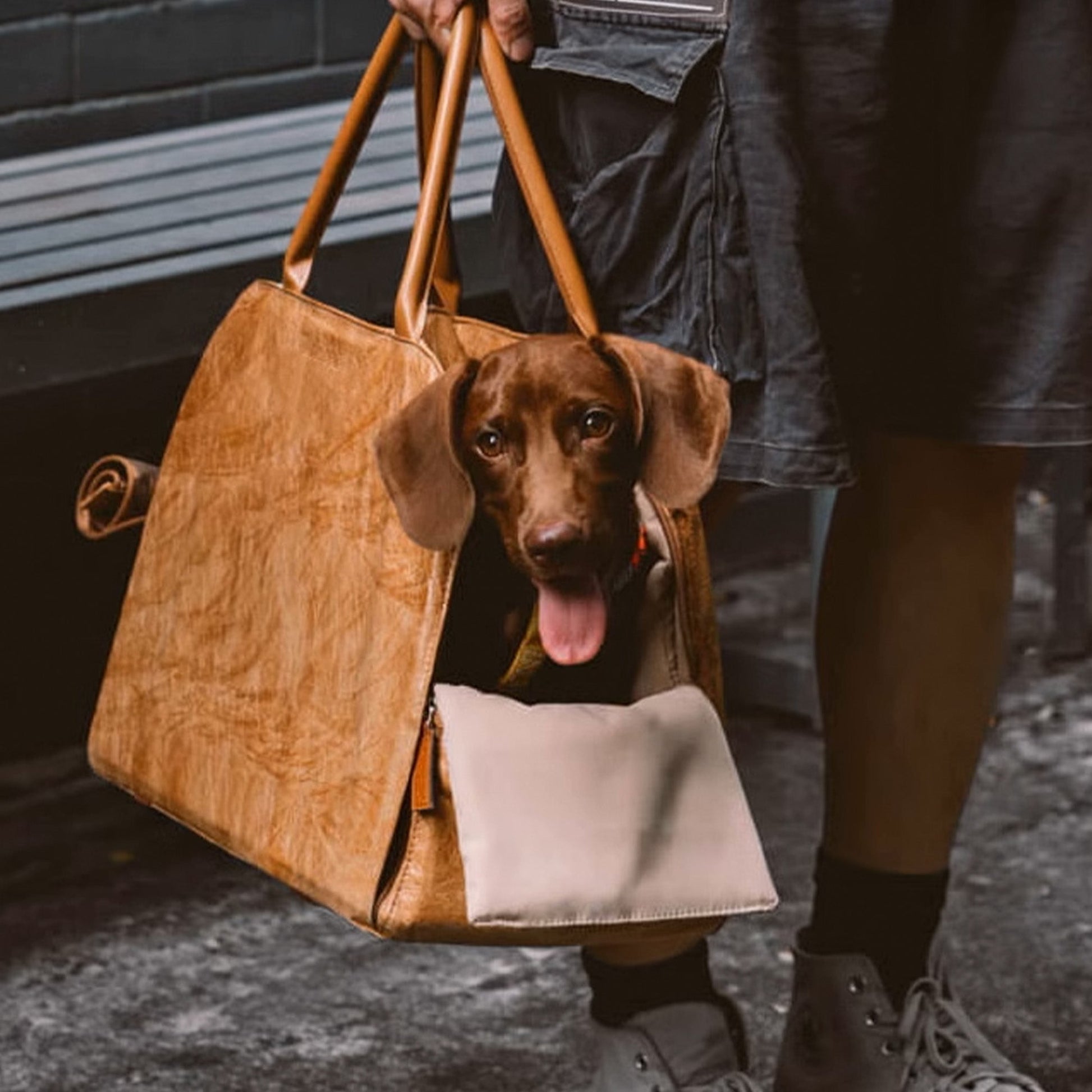 Compact Pet Carrier Bag - Lightweight & Ventilated - Lusomart