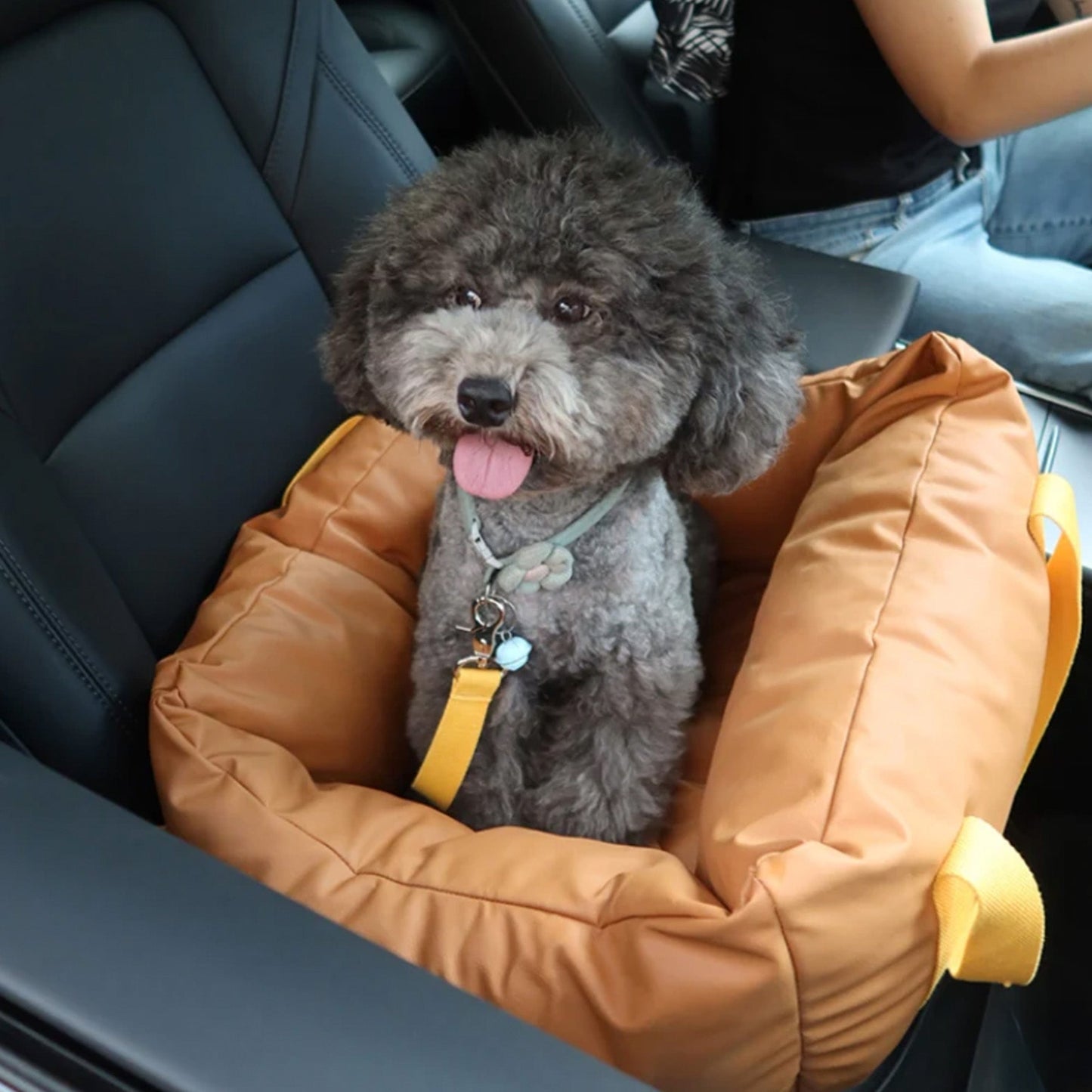 Durable Pet Car Seat - Safe and Comfortable Ride - Lusomart