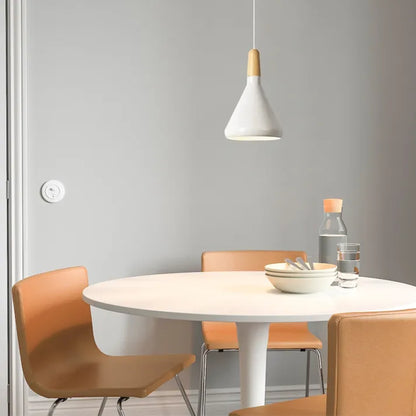 Elegant Metal Hanging Light Fixture