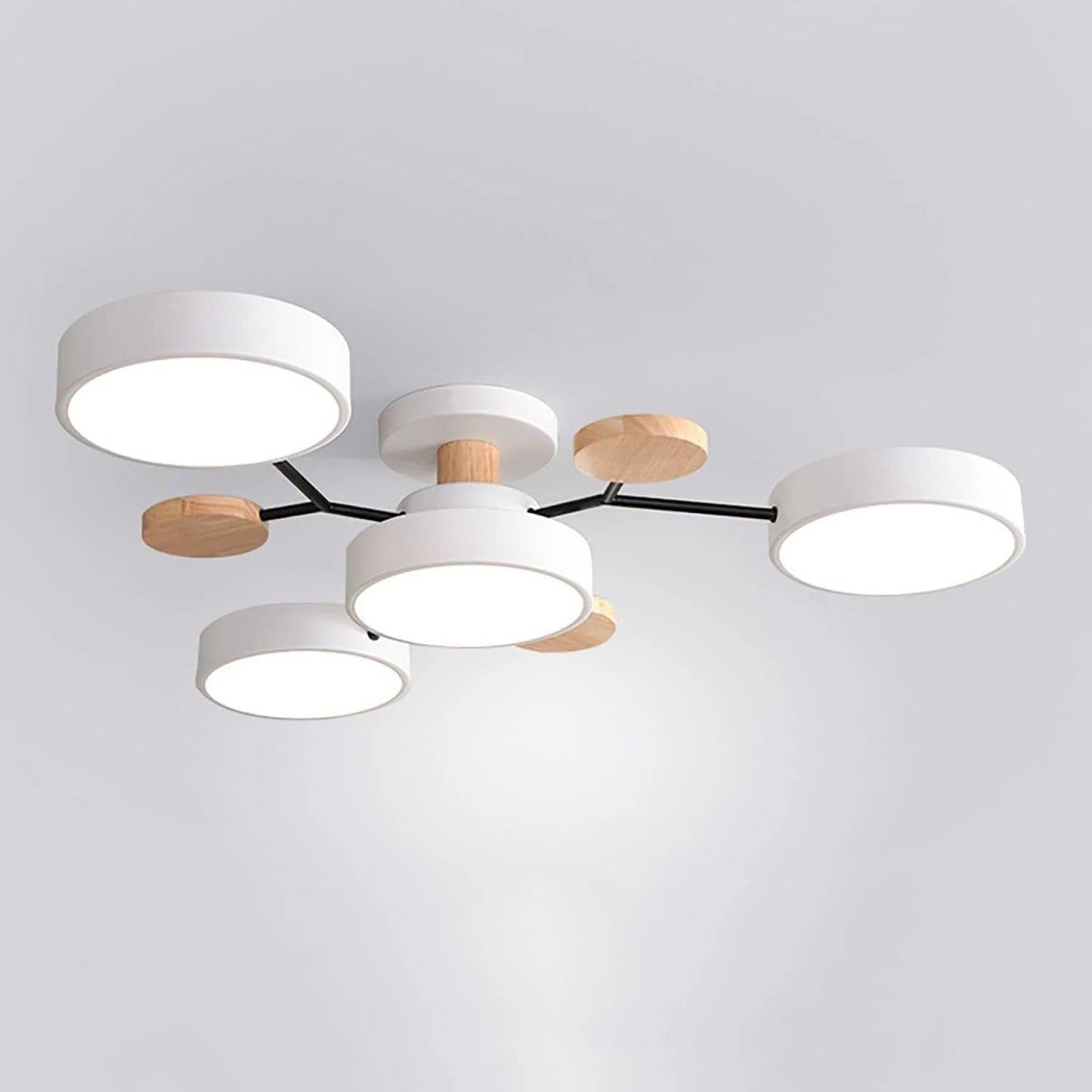 Circular Metal LED Pendant Light For Home