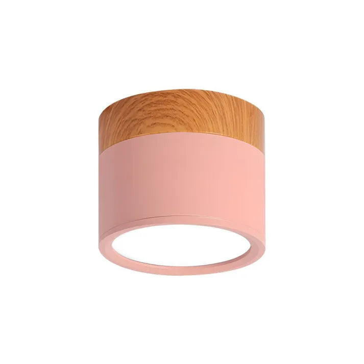 Bright Modern LED Ceiling Lamp for Home