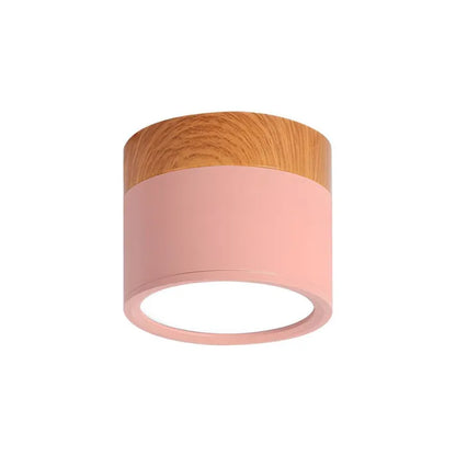 Bright Modern LED Ceiling Lamp for Home