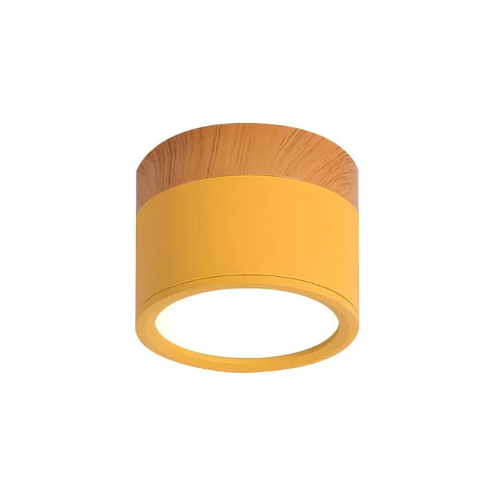 Bright Modern LED Ceiling Lamp for Home