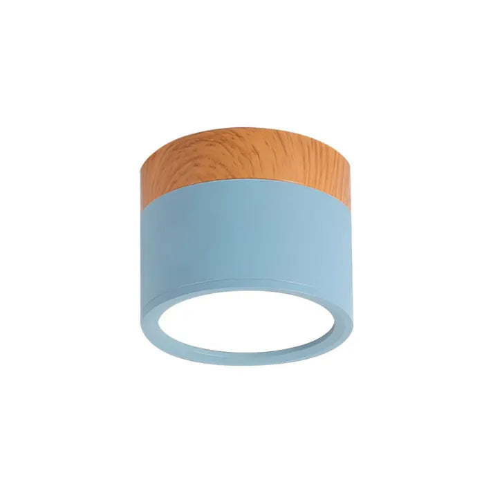Bright Modern LED Ceiling Lamp for Home