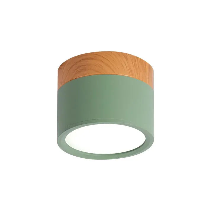 Bright Modern LED Ceiling Lamp for Home