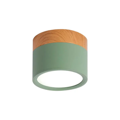 Bright Modern LED Ceiling Lamp for Home