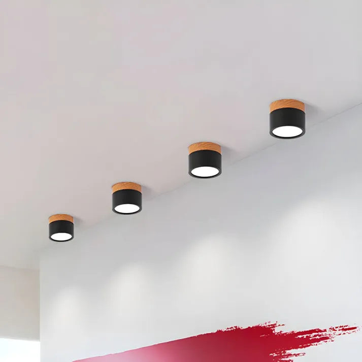Bright Modern LED Ceiling Lamp for Home
