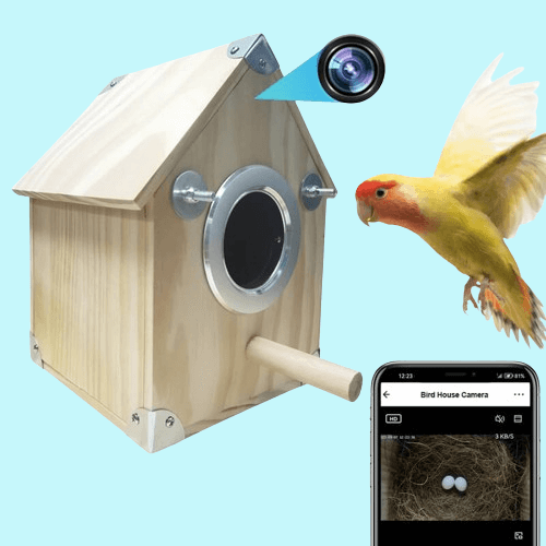 Wildlife Birdhouse Camera Feeder with Night Vision - Lusomart