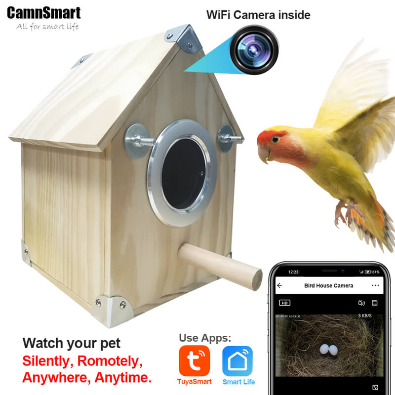 Wildlife Birdhouse Camera Feeder with Night Vision