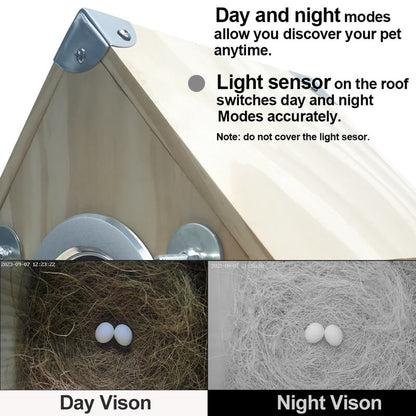 Wildlife Birdhouse Camera Feeder with Night Vision