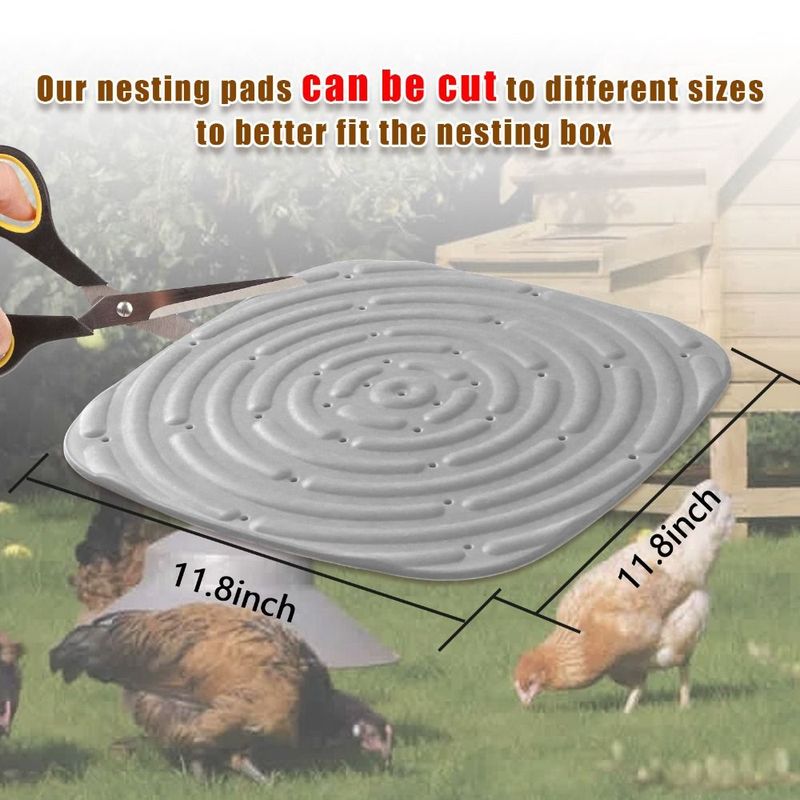 Soft Chicken Bedding for Backyard Coops and Hens