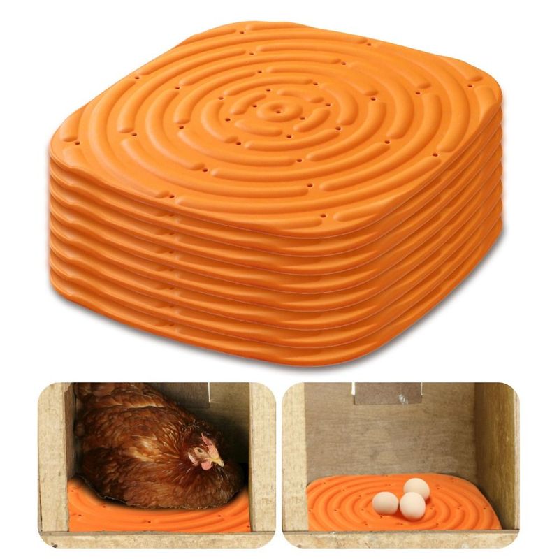 Soft Chicken Bedding for Backyard Coops and Hens