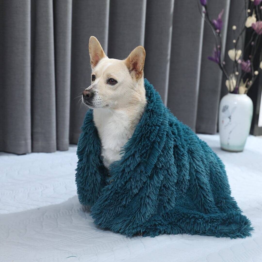 Soft Plush Pet Blanket for Calming Comfort