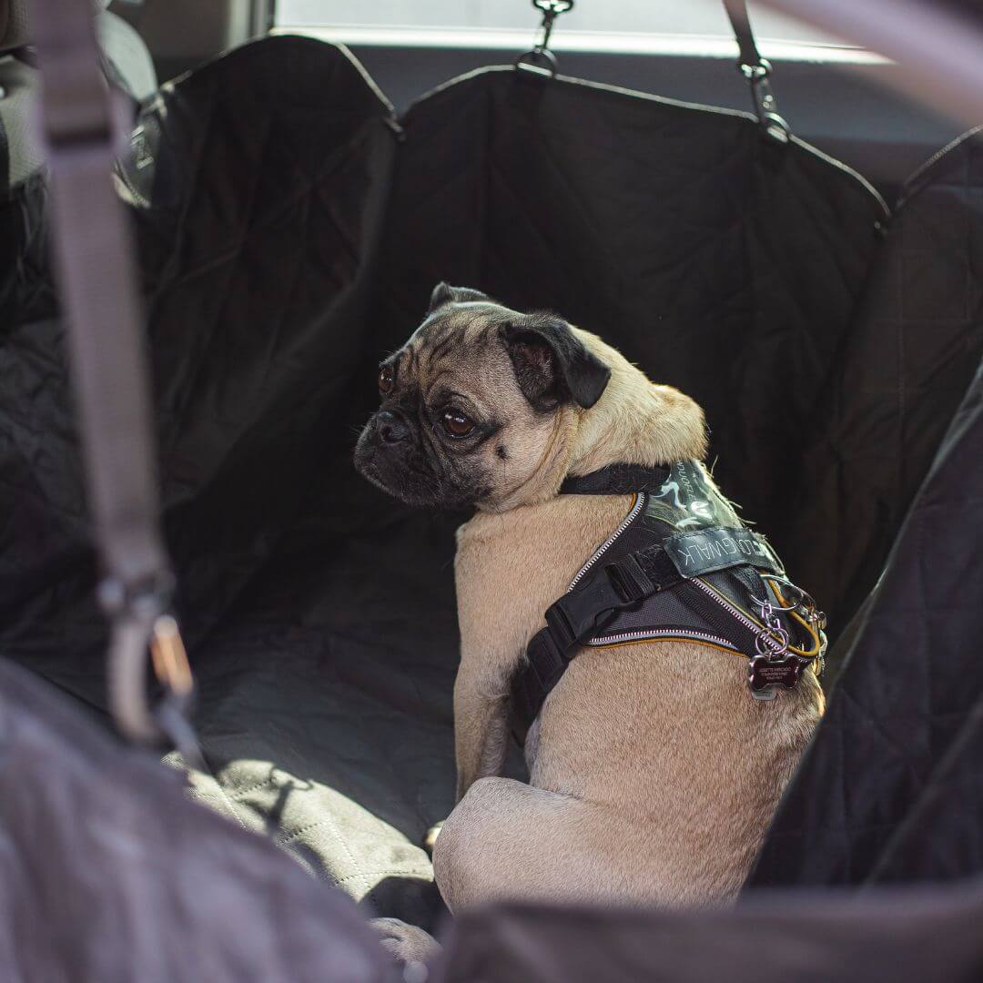 Premium Pet Car Seat Protector for Mess Free Travel